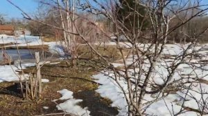 ДАХШАТ Уй 50 соток, 55м², АСАЛАРИ, Ховуз, Шахар 22км, Гузал табиат