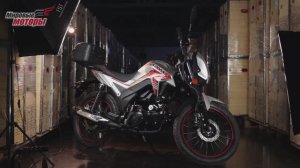 Alpha SA Max LUX CITY (форсированный): Обзор мопеда