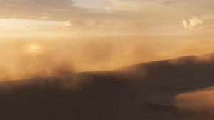 Дикая Сахара Жизнь пустыни.