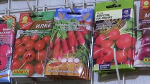 Выпуск новостей 17 марта 2026 года