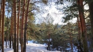 Глупость - это счастье? Глупеет ли современное общество?