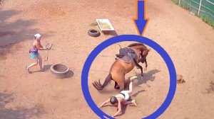 Верховая езда - это непросто!