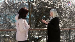 События Русской весны 2014 года. Часть 2 (Слава Севастополя. 18 марта 2026)