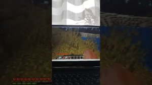 Стримчик по майну