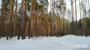 Весной на катке