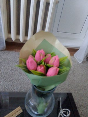 Как ухаживать за цветами?( гладиолус)