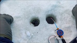 Закрытие зимнего сезона.Клёв порадовал!