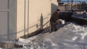 Запурхался в снегу