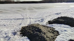 Немного о деревьях и  пирсах