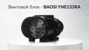 Винтовой блок BAOSI YNE133RA