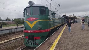 Новый Петергоф: ретро-локомотивы