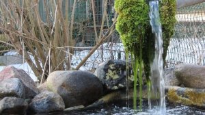 Кадры дня 18 марта 2026 / Ижора. Межстоличье.