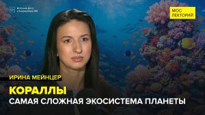 Коралловые рифы: живые города океана | Ирина Мейнцер Лекция 2026 | Мослекторий