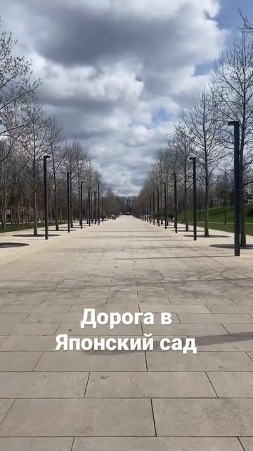 Дорога в Японский сад #respect #японскийсад #паркгалицкого #shorts