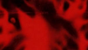 коробочка 📦😺❗