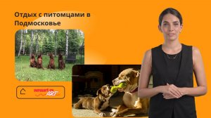 Отдых с питомцами в Подмосковье