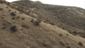 Груз 200 - мы вместе. На все времена. Нет слёз, нет эмоций. Просто тишина и пустота.