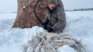 РЫБАЛКА ЗИМОЙ С КОМФОРТОМ В ПАЛАТКЕ С ПЕЧКОЙ НА РЕКЕ ОБЬ. БЕШЕНЫЙ КЛЁВ ЯЗЯ И ЧЕБАКА.