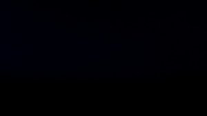 ОХОТА НА ГУСЯ И УТКУ ВЕЧЁРКА .