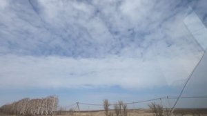 ОХОТА НА ГУСЯ В САРАТОВСКОЙ ОБЛАСТИ