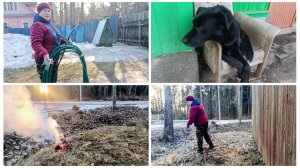 "Жизнь на пенсии".. Погода хорошая,  весь день занималась хоз. работой.