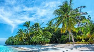 Чилл аут CHILL-OUT Чилаут. Слушать музыку. Музыка онлайн