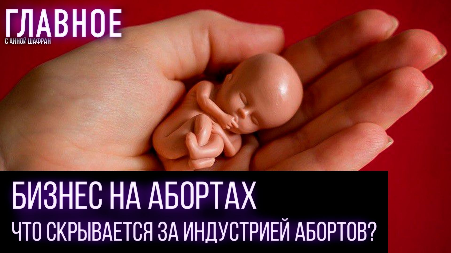 Кто и как зарабатывает на биоматериалах, полученных после абортов