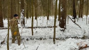 08.03.26 ПОРУБАС (3)