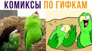 Комиксы по гифкам. Паранормальный кот