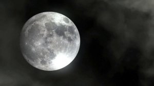 Песни мии Бойко сборник песен