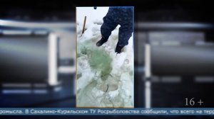 18.03.2026 Сеть, установленную подо льдом, нашли рыбинспекторы на Сусуе