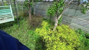 Влог от 25.05.2022