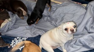 Доброго всем утречка, ждем вас сегодня на прямом эфире на Рутуб в 12:00 по МСК.