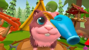 Морская свинка   Pets & stuff #15