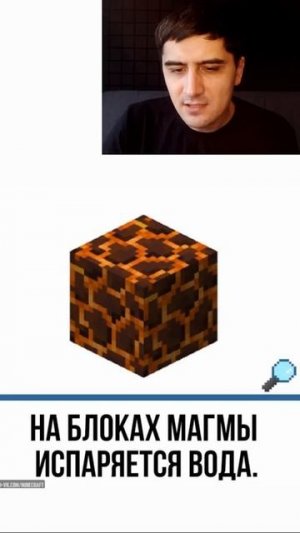 Факты про MINECRAFT