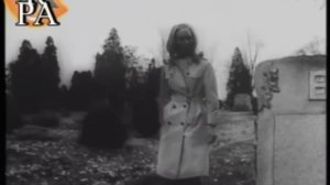 Resident Evil REVisited - Resident Evil 2 mod [PC]