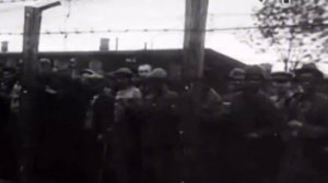 Люблин-Майданек: конвейер смерти для советских военнопленных и мирных граждан (Иркутская область)