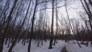 9 марта. Борщ. Такие руки только у настоящих художников. Начала делать ватных барашков.