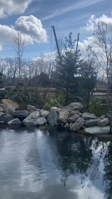 Японский сад в Краснодаре! #паркгалицкого #стадионкраснодар #японскийсад #respect #shorts