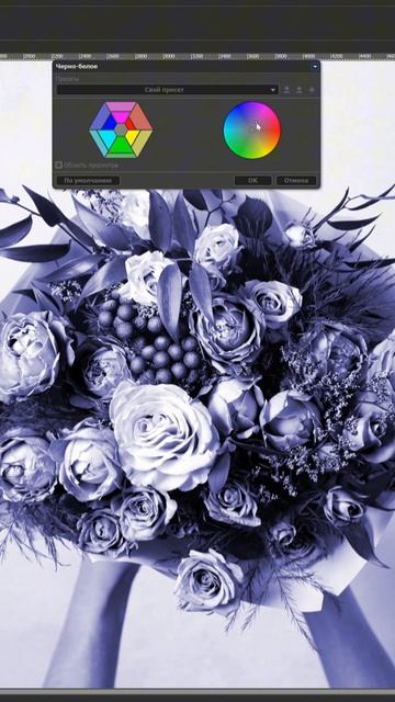 ⚫⚪ Черно-белое в AliveColors