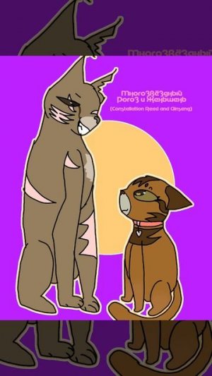 Многозвёздный Рогоз и Женьшень