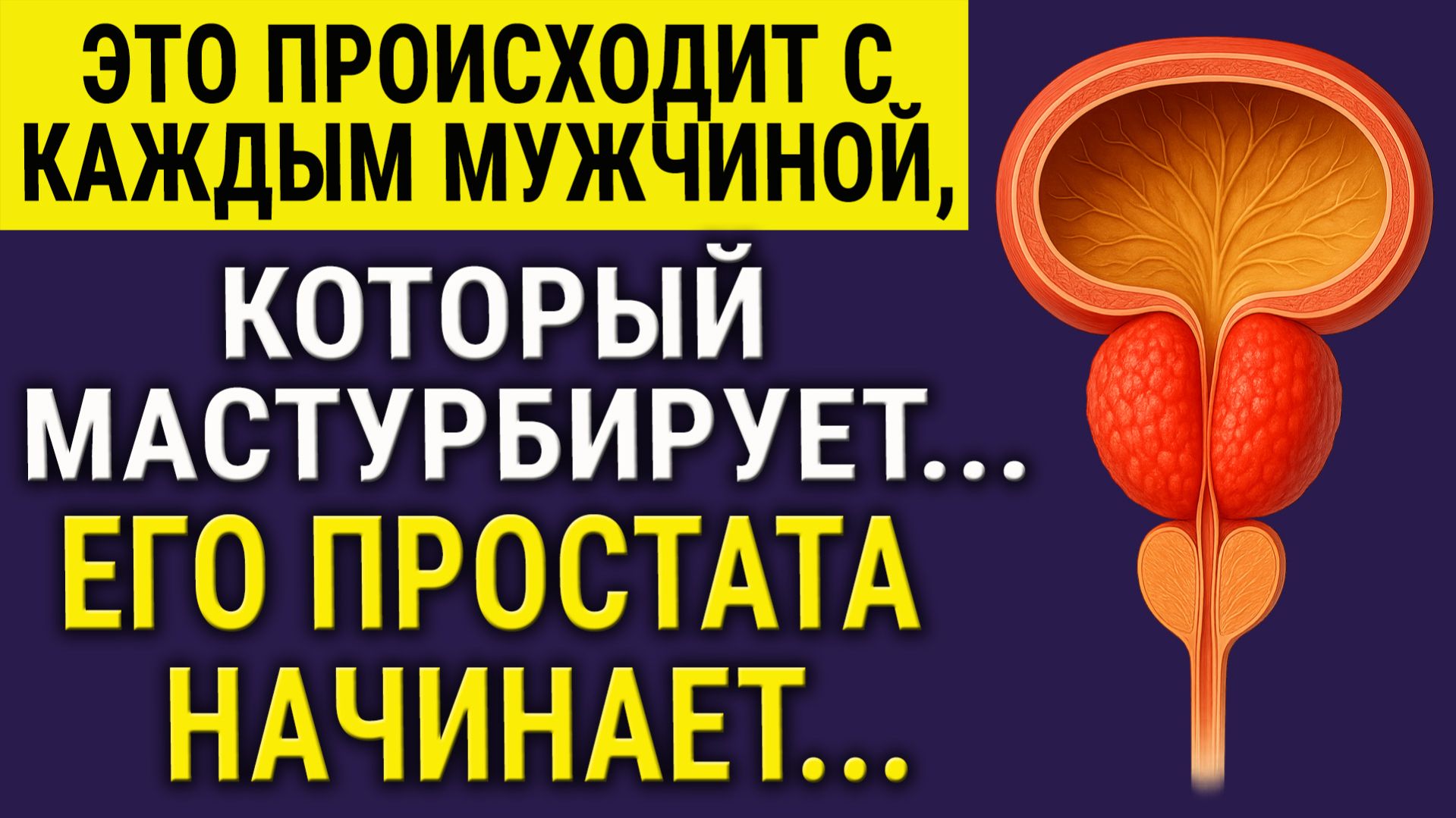 О Простате - Честно, Без Стыда, По-Мужски! Когда Мужская Сила Уходит - Можно ли Её Вернуть?