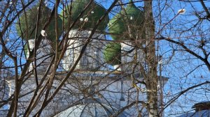 СТРАСТИ ПО НАСЛЕДСТВУ ‼️КТО ПРАВ ‼️ КТО ВИНОВАТ