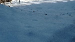 Биржа труда - поиск работы, одни проблемы...