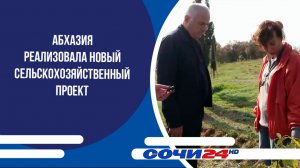 Абхазия реализовала новый сельскохозяйственный проект