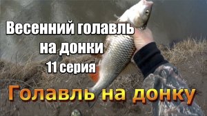 Весенний голавль на донки. 10 серия. 25 апреля