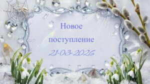 Новое поступление 21-03-2026