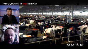 Вспышка в Новосибирске: бактерия, чиновники и трупы на могильниках