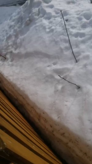 Извигите 3папытка