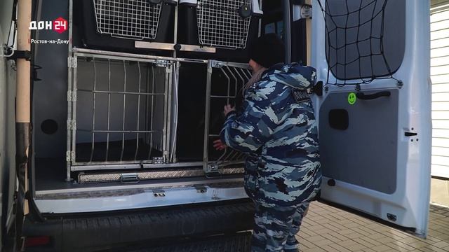 Собачья пенсия: кинологи МВД проводили пса Вегаса на заслуженный отдых